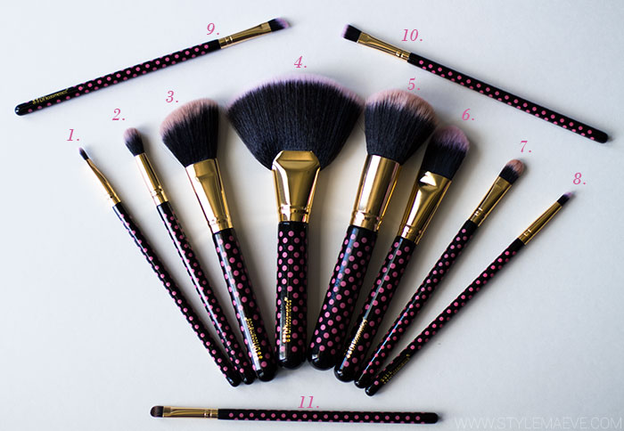 BH Cosmetics 11 Piece Brush Set, BH Cosmetics Polka dot brush set brushes