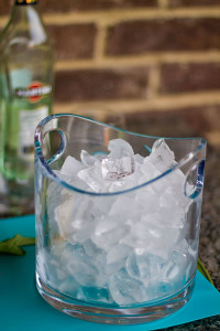 Tiffanys Ice Bucket