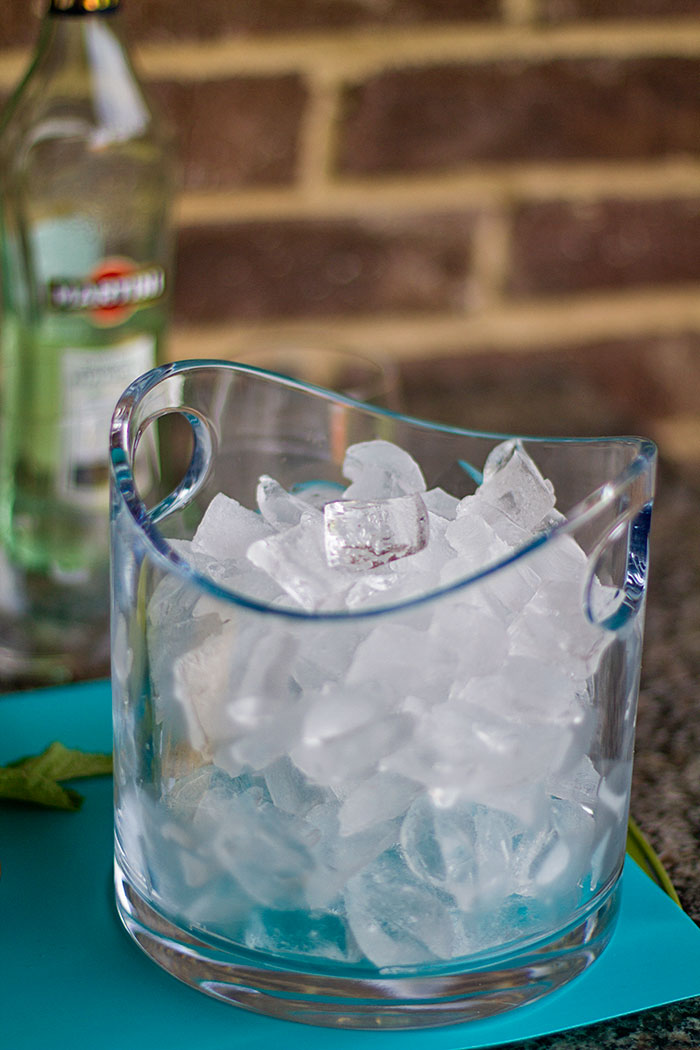 Tiffanys Ice Bucket